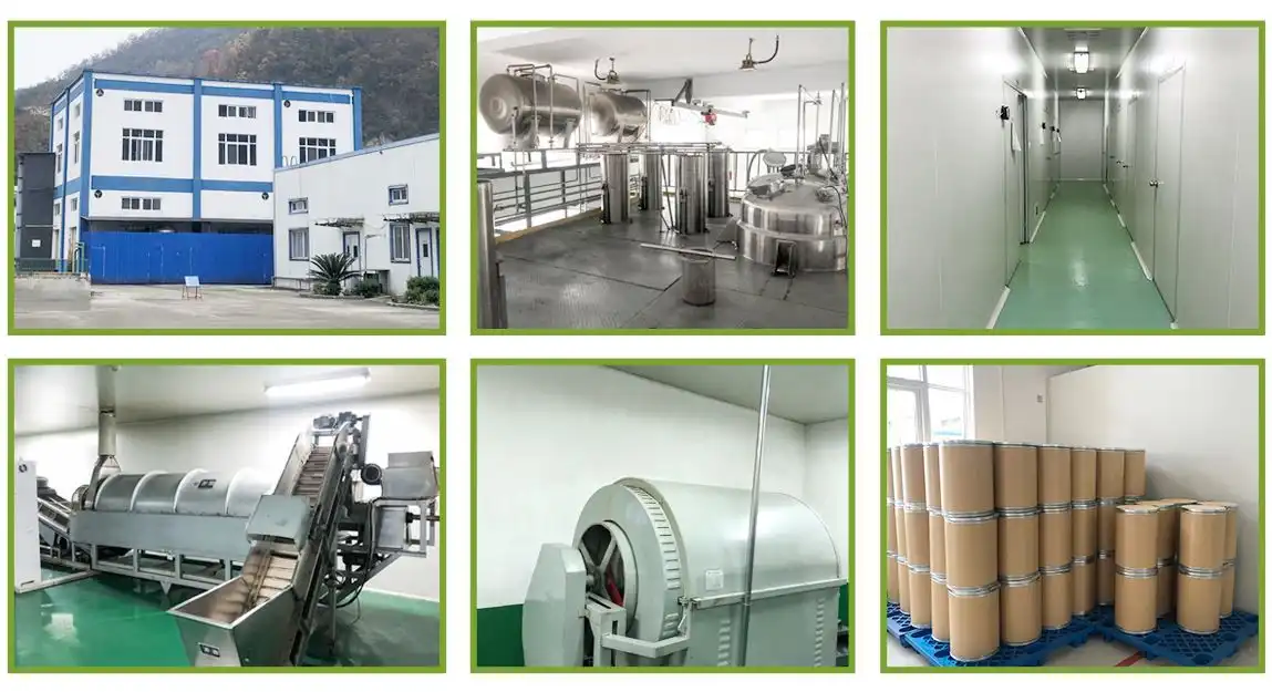 Our Factory.jpg
